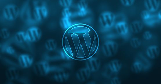 Wordpress SEO